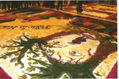 alfombra de flores ganador de concurso en Semana Santa 2011Ayacucho Perú