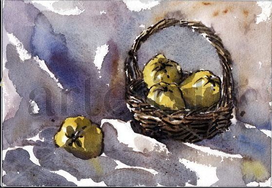 Canasto con Membrillos Watercolour Paper Still Life Paintings