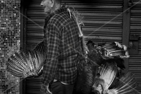 Hombre pajaro