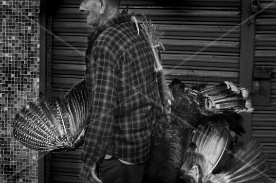 hombre pajaro Photojournalism and Documentary Black and White (Digital)