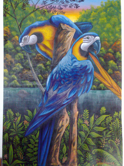 Guacamayas