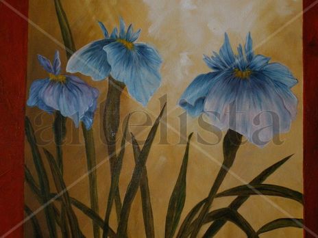Lillys - detalle