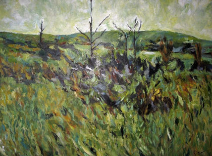 Campos