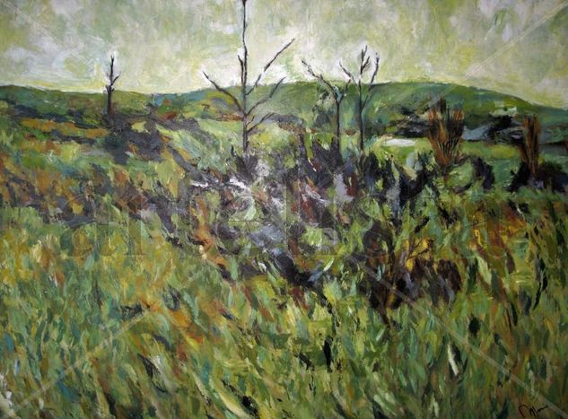 campos Oil Canvas Landscaping