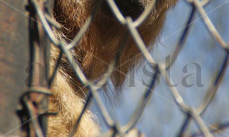 Jardin Zoologico de Mendoza