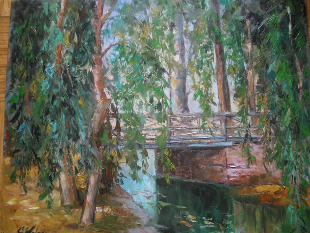 EL PUENTE DEL PARQUE
