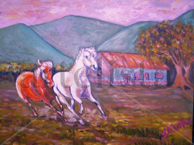 caballos en libertad
