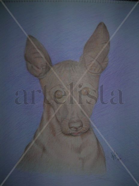 Laika