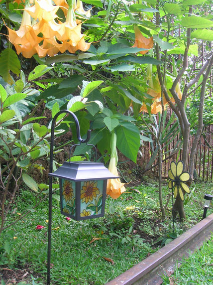 Mi Jardín