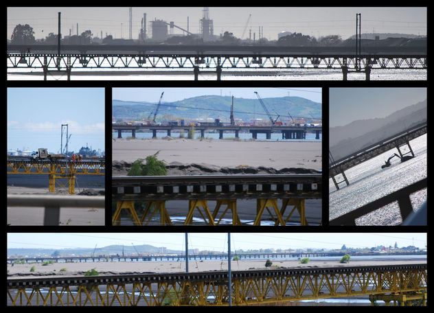 collage2