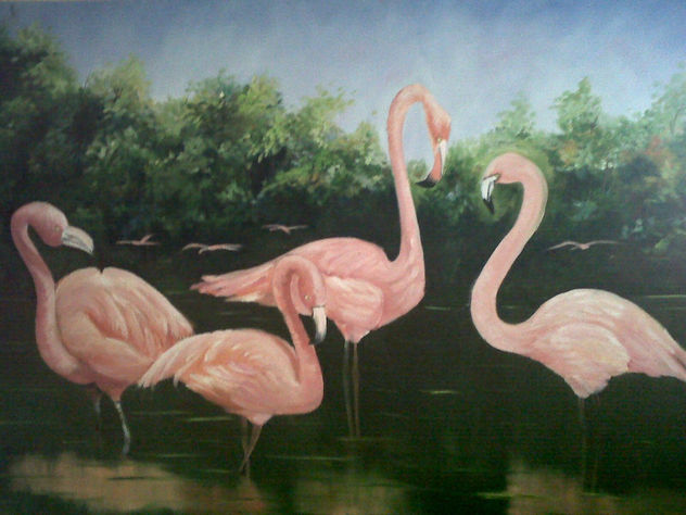 flamencos