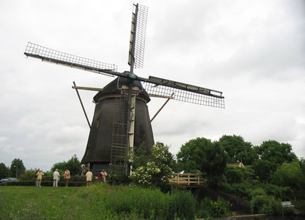 Molino