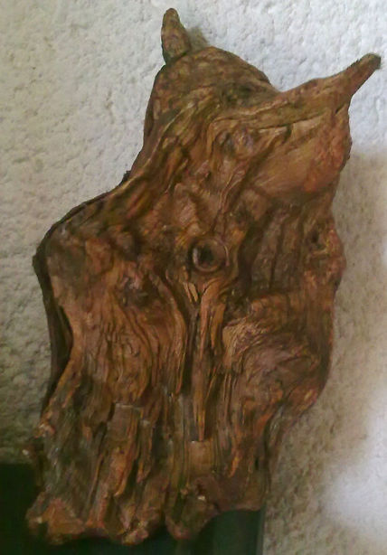 Babosa olorosa