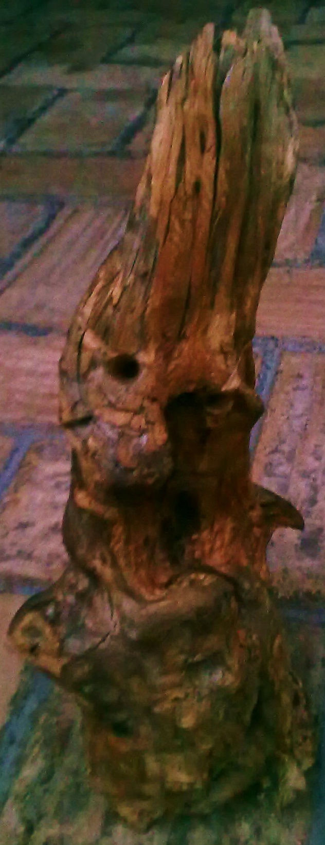 CACATUA OLOROSA