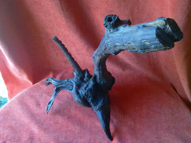 JURASIC DRAC !!!