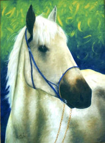 Caballo blanco