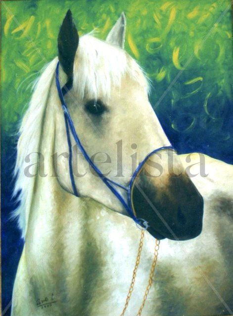 CABALLO BLANCO