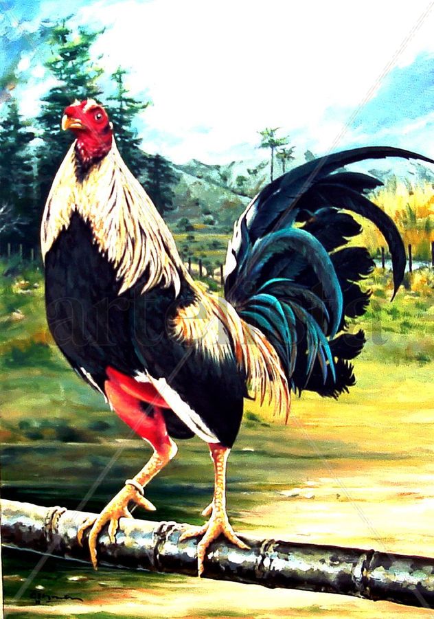 ''PADROTE, MACHU PICHU''