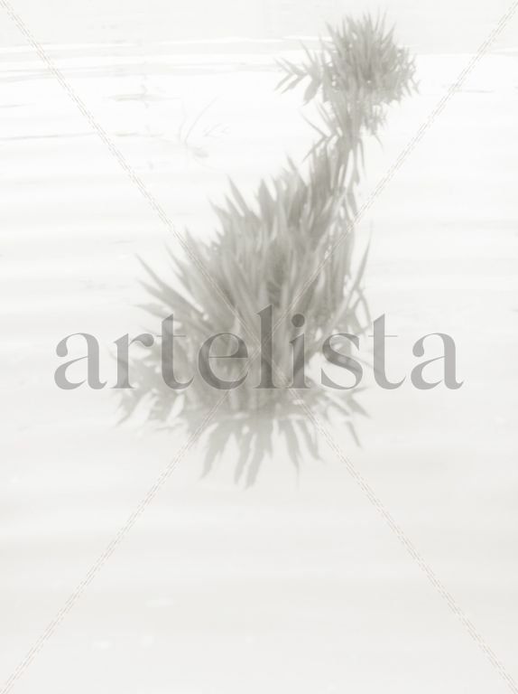 de la serie acuatica No6