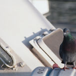 imagen portuaria thumbnail 1