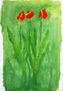 Anturios, rojo y verde