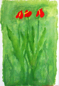 Anturios, rojo y verde