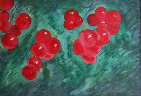Racimos de cerezas