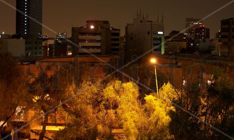 Urbanidad
