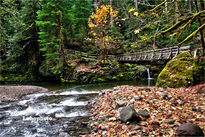 Puente de la soledad