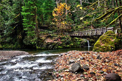 Puente de la soledad