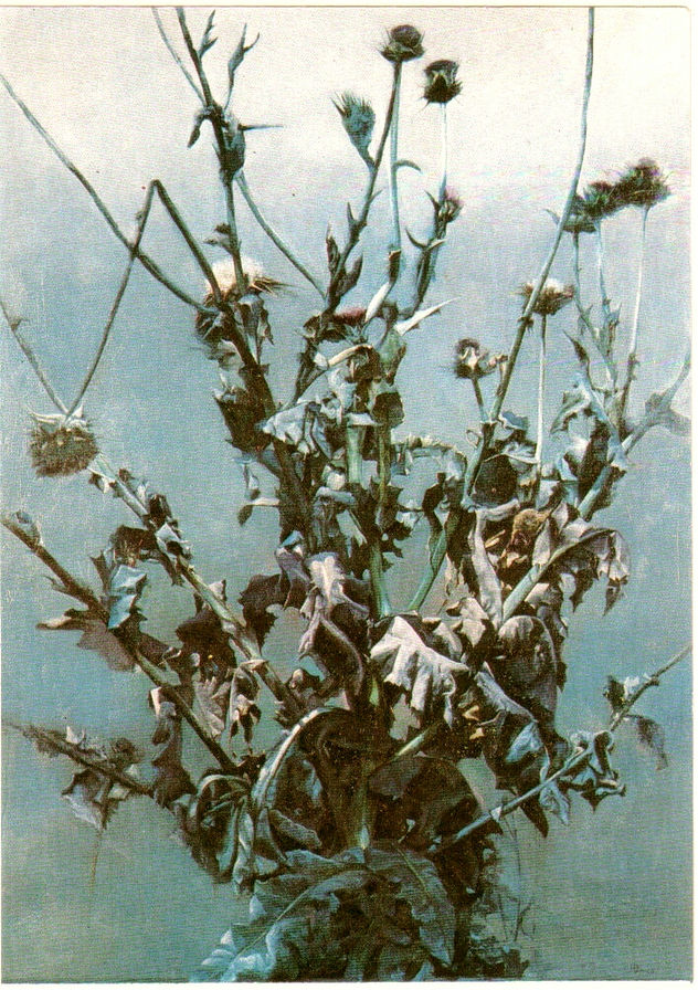 RAMILLETE DE CARDOS