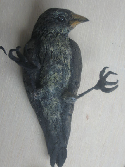 Pinzon de galapagos