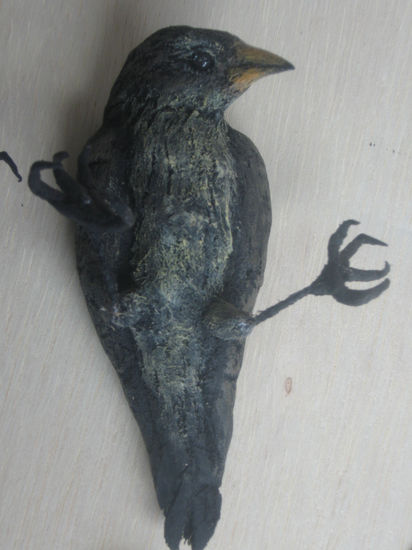 PINZON DE GALAPAGOS 