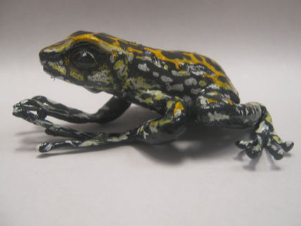 Rana amarilla