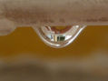 AGUA CÓNCAVA