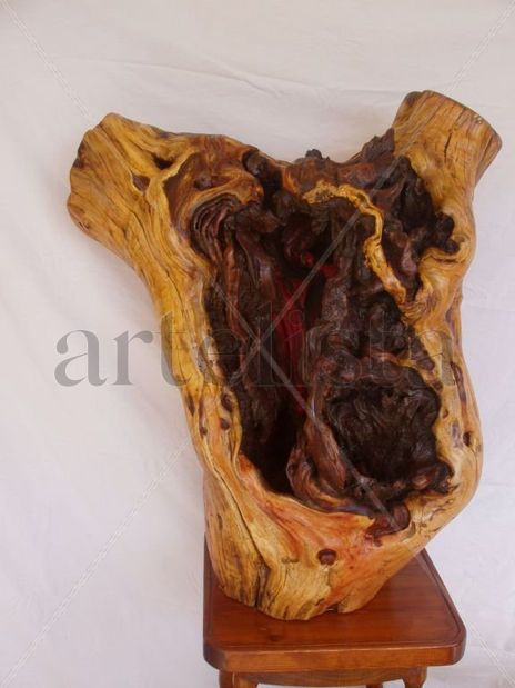 Torso