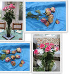 flores , plantas y arboles thumbnail 2