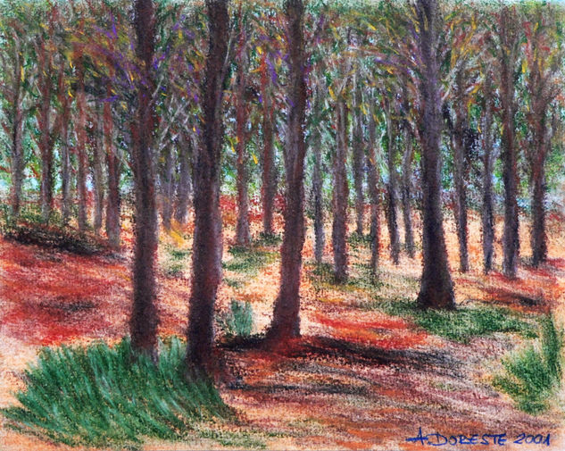 Pinar de Tamadaba I Pastel Paper Landscaping