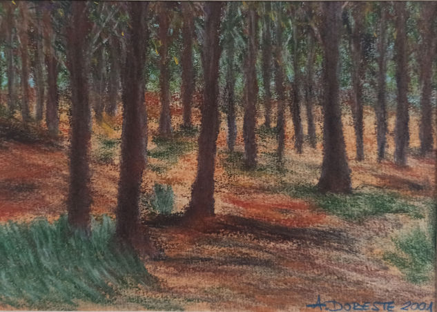 Silencio entre los Pinos Pastel Paper Landscaping