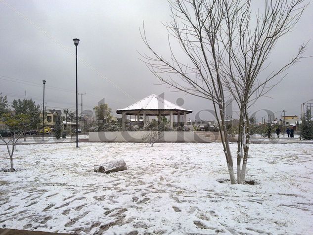 nieve 