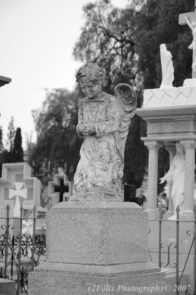 NIÑO DE PIEDRA