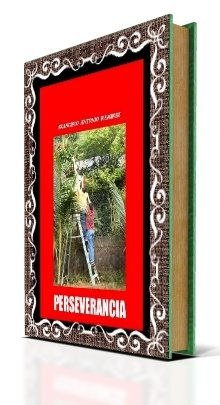 PERSEVERANCIA,VIVENCIAS DE UN PROFESOR 