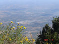 CONOZCA CHINAMECA