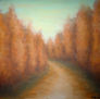 Camino