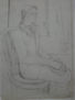 Susana Rojas. 1992 La Chilena. dibujo 84x57cm