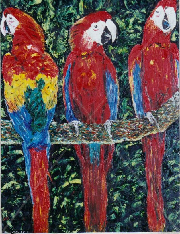 GUACAMAYAS