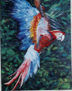 GUACAMAYA EN VUELO
