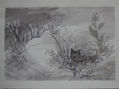 Susana Rojas. 1999 Gato en paisaje