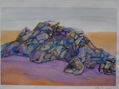 Susana Rojas. 1999 Rocas