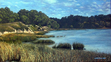 "Laguna de los...